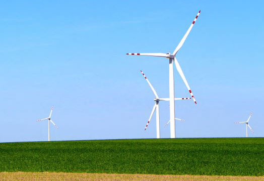 Wind turbines in a field on a sunny day