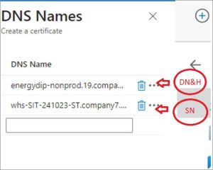 DIP certificates generate CSR and KEY certificate DNS names pop-up