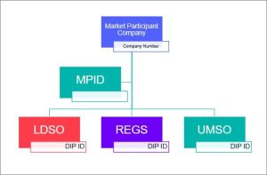 Diagram of DIP Market Participant data set-up