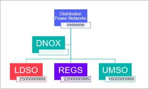 Diagram of Distribution Power Networks company