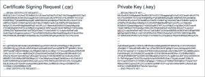 DIP GlobalSign website API credentials certificate Openssl structure